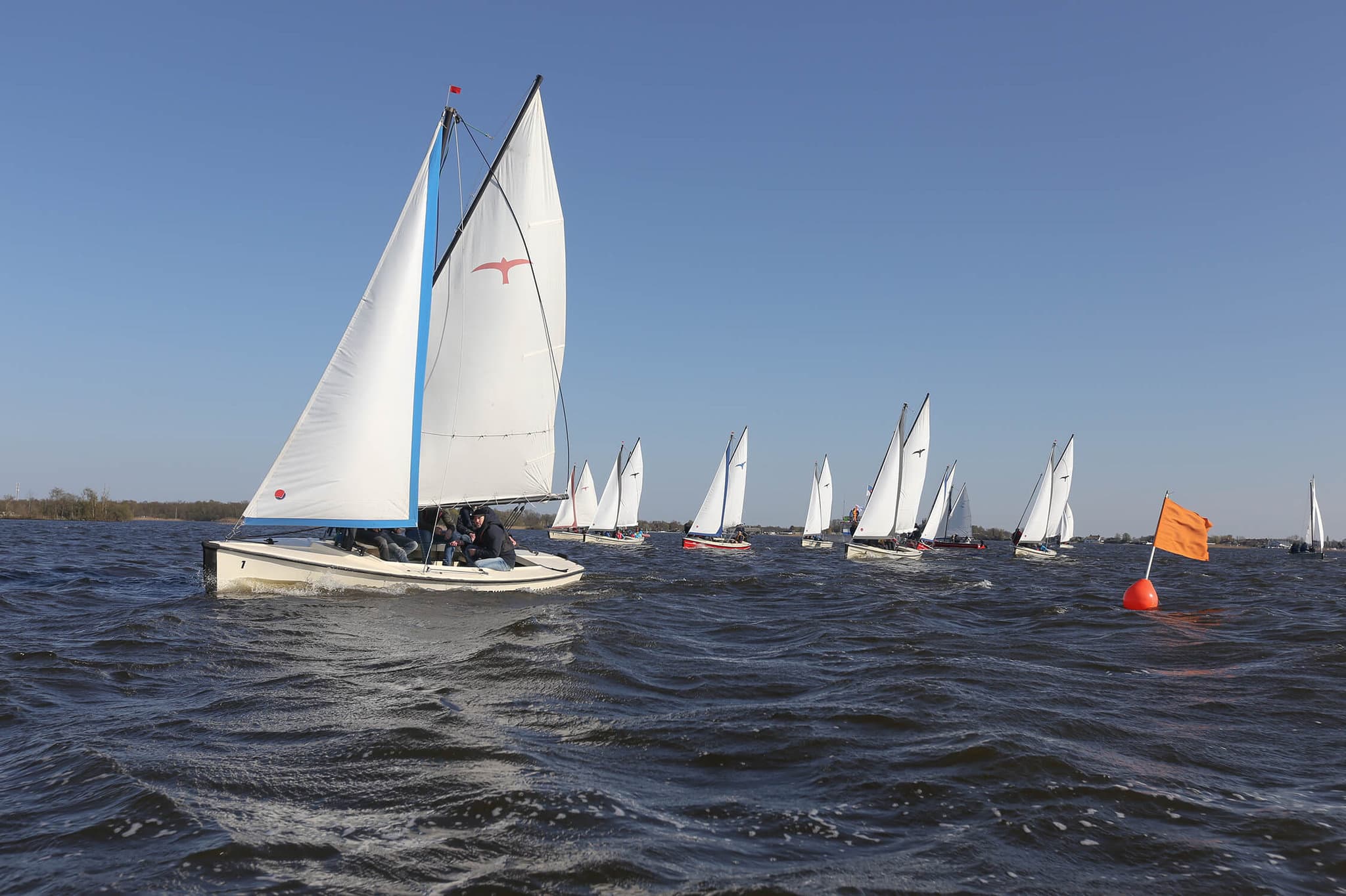 Doe mee aan de SailWise regatta